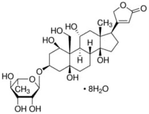 O3125-250MG | OUABAIN OCTAHYDRATE