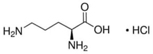 O6503-25G | L ORNITHINE MONOHYDROCHLORIDE BIOREAGENT SUITABLE