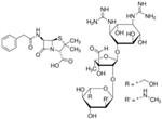 P0781-100ML | Penicillin Streptomycin
