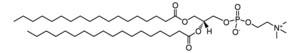P1138-100MG | 1 2 DISTEAROYL SN GLYCERO 3 PHOSPHOCHOLINE