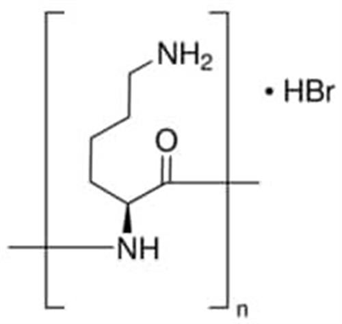 P1524-25MG | POLY L LYSINE HYDROBROMIDE MOL WT GREATER THAN 300