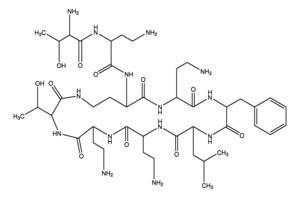 P2076-5MG | POLYMYXIN B NONAPEPTIDE HYDROCHLORIDE CATIONIC CYC