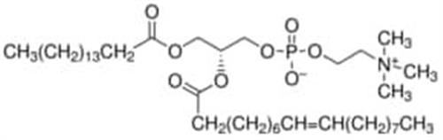 P3017-10MG | L A PHOSPHATIDYLCHOLINE B OLEOYL GAMMA PALMITOYL C