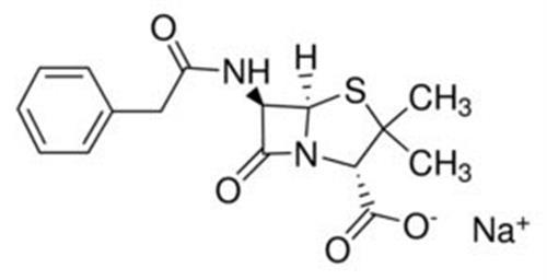 P3032-100MU | Penicillin G sodium salt