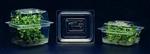 P5929-50EA | PHYTATRAY TM II