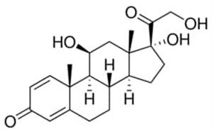P6004-1G | PREDNISOLONE