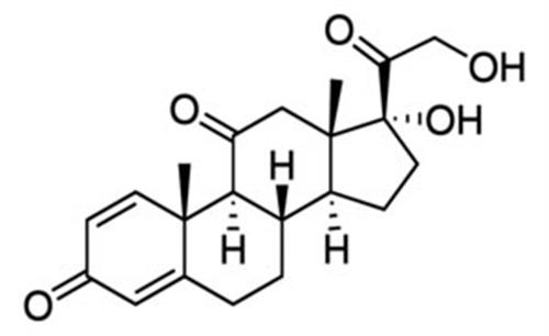 P6254-5G | PREDNISONE