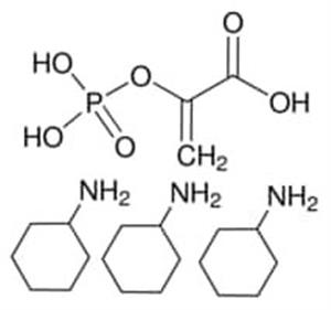 P7252-1G | PHOSPHO ENOL PYRUVATE TRI CYCLOHEXYLAMMONIUM