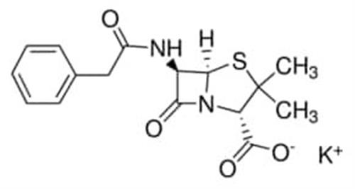 P7794-100MU | PENICILLIN G POTASSIUM SALT BIOREAGENT SUITABLE FO