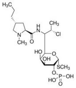 PHR1021-1G | CLINDAMYCIN 2 PHOSPHATE