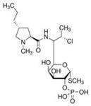 PHR1021-1G | CLINDAMYCIN 2 PHOSPHATE