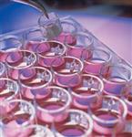 PICM0RG50 | MILLI STAND INSRT .4UM ORGANOTYPIC 50 PK