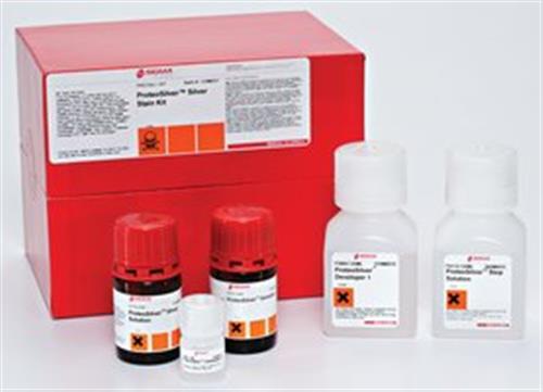 PROTSIL1-1KT | PROTEOSILVER STAIN KIT