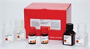 PROTSIL2-1KT | PROTEOSILVER PLUS STAIN KIT