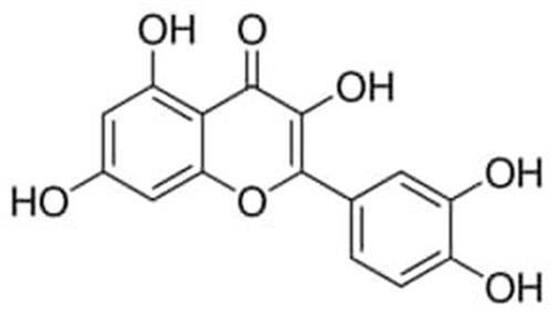 Q4951-100G | QUERCETIN 95 HPLC SOLID