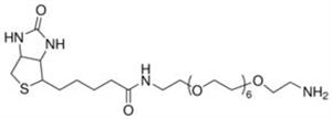 QBD10826-100MG | BIOTIN DPEG 7 NH2