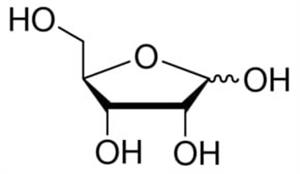 R9629-100G | D RIBOSE BIOREAGENT SUITABLE FOR CELL CULTURE