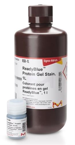 RSB-30ML | READYBLUE PROTEIN GEL STAIN