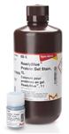 RSB-30ML | READYBLUE PROTEIN GEL STAIN