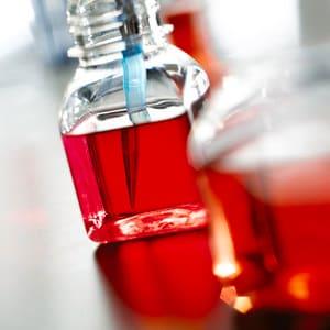 S-002-D | CELL FREEZING MEDIA W DMSO 50ML