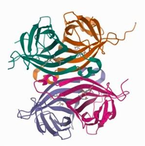 S1638-5ML | STREPTAVIDIN AGAROSE