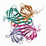 S1638-5ML | STREPTAVIDIN AGAROSE