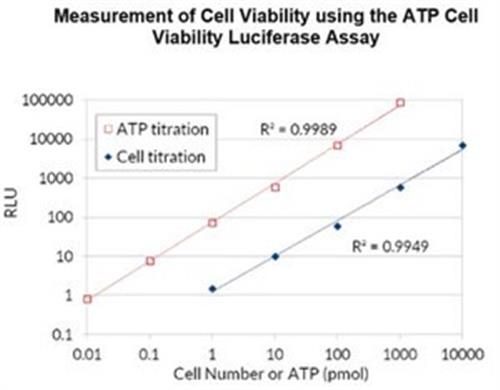 SCT149 | ATP LUMINESCENT CELL VIABILITY ABETAAY
