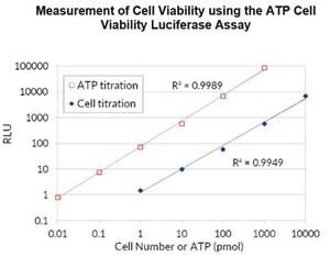 SCT149 | ATP LUMINESCENT CELL VIABILITY ABETAAY
