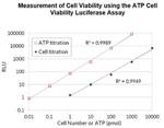 SCT149 | ATP LUMINESCENT CELL VIABILITY ABETAAY