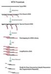 SEQR-50RXN | SEQPLEX RNA AMPLIFICATION KIT