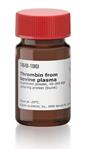 T4648-10KU | THROMBIN FROM BOVINE PLASMA