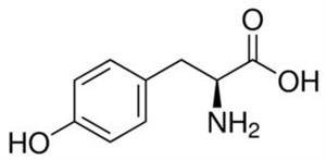 T4321-100G | L TYROSINE PHARMAGRADE AJINOMOTO R EP JP USP MANUF