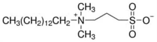 T7763-25G | N TETRADECYL N N DIMETHYL 3 AMMONIO 1 PROPANESULFO