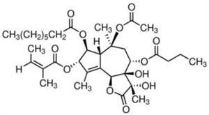 T9033-.5MG | THAPSIGARGIN
