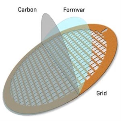 TEM-FCF100AU | FORMVAR CARBON SUPPORTED GOLD GRIDS 100 MESH 25 BO