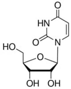 U3003-50G | URIDINE BIOREAGENT SUITABLE FOR CELL CULTURE