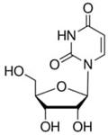 U3003-50G | URIDINE BIOREAGENT SUITABLE FOR CELL CULTURE