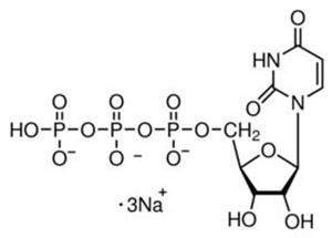 U6750-1G | URIDINE 5 TRIPHOSPHATE TRISODIUM SALT HYDRATE TYPE