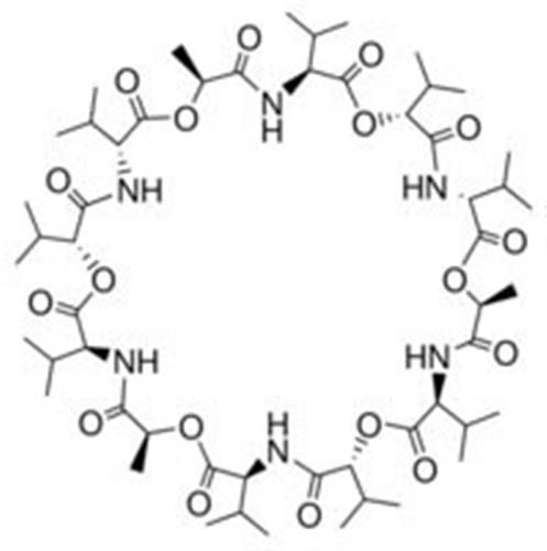 V0627-100MG | VALINOMYCIN 98 TLC 96 HPLC
