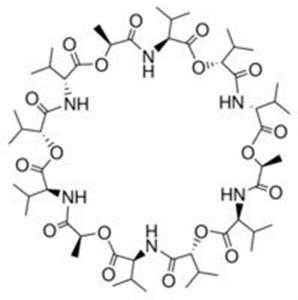 V0627-100MG | VALINOMYCIN 98 TLC 96 HPLC