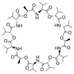 V0627-100MG | VALINOMYCIN 98 TLC 96 HPLC