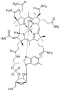 V6629-250MG | VITAMIN B12 BIOREAGENT SUITABLE FOR CELL CULTURE S
