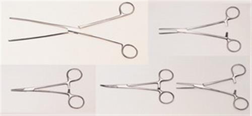 Z168874-1EA | SCISSOR HANDLE FORCEPS KELLY HEMOSTATIC CURVED L 6