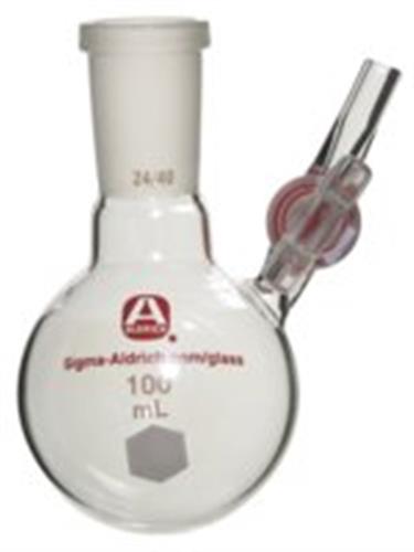 Z515965-1EA | ALDRICH R SOLVENT STORAGE FLASK CAPACITY 1 000 ML