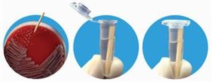 Z740496-500EA | SMARTPICK TM WOODEN INOCULATION PICKS LARGE SEMI P