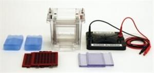 Z741768-1EA | SIGMA ALDRICH R DUAL RUN AND BLOT SYSTEM