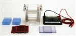 Z741768-1EA | SIGMA ALDRICH R DUAL RUN AND BLOT SYSTEM