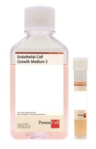 C-22011 | ENDOTHELIAL CELL GROWTH MEDIUM 2