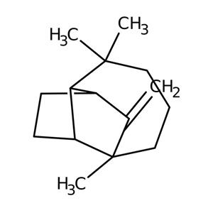 CRM40481 | LONGIFOLENE 1X1ML 2000UG ML METHANOL