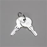 ULT25-ACC04 | Replacement keys for door lock set of 2 Compatibl